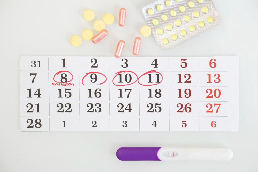 ضعف التبويض: من هم أعداء المبايض؟ وكيف يمكن التخلص منهم؟
