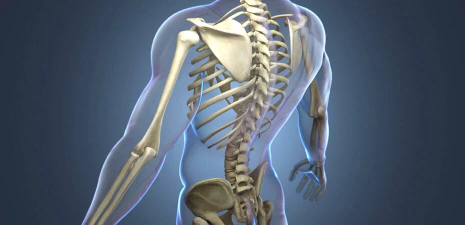 بناء عظام قوية