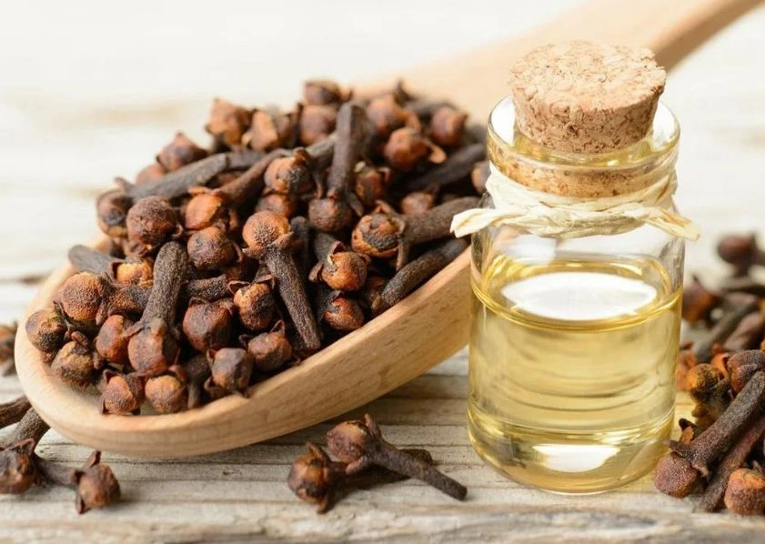 زيت القرنفل
