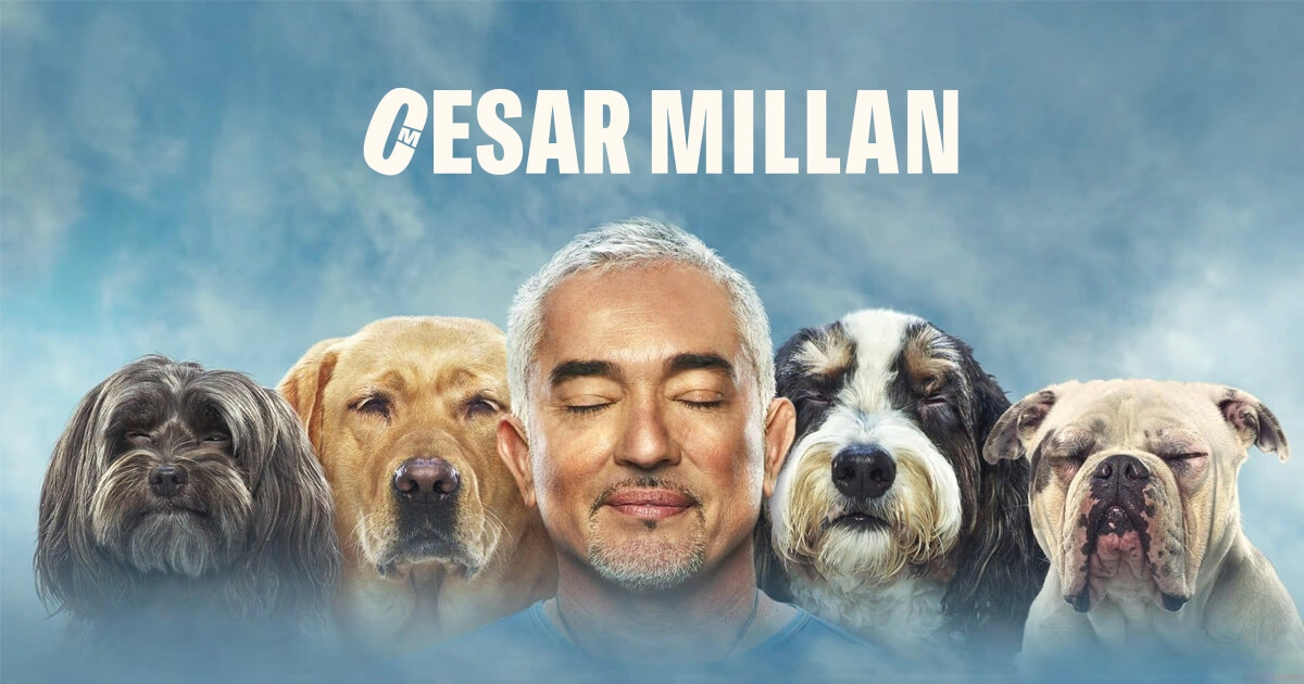 سيزار ميلان (بالإنجليزية: Cesar Millan) من أبرز المؤثرين في تربية الحيوانات الأليفة