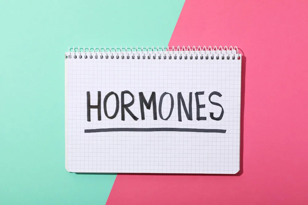 دفتر ملاحظات