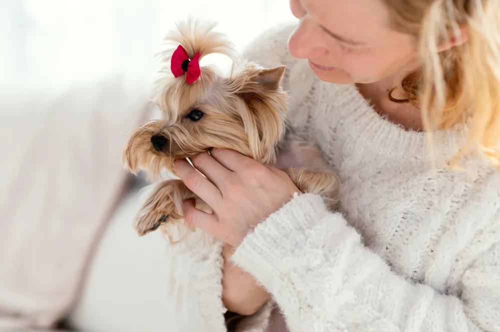 امرأة تحمل كلبًا صغيرًا