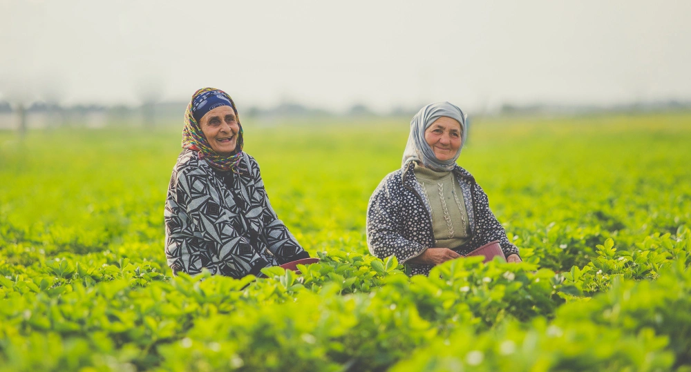 سكان المناطق الريفية